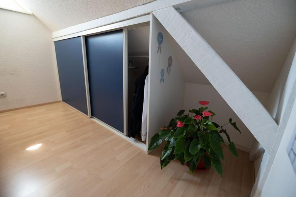 Gite Les Lavandieres Saasenheim 外观 照片